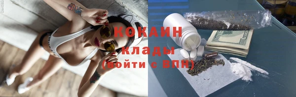 метадон Алексин