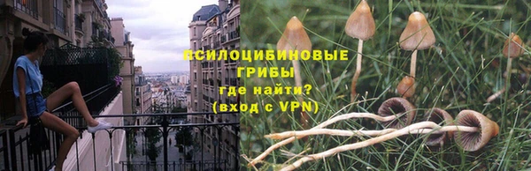 прущие грибы Алексеевка
