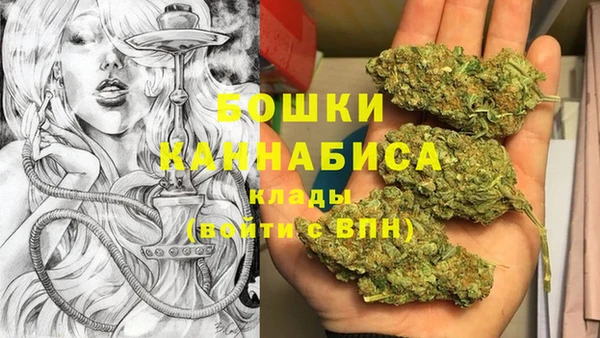 PSILOCYBIN Армянск