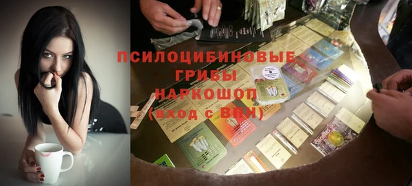прущие грибы Алексеевка